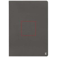 Area marcaje Frontal