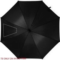 Area marcaje Segmento 2