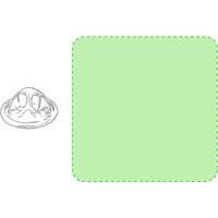 Area marcaje Cuerpo