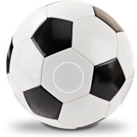Area marcaje Pelota - Panel