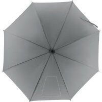 Area marcaje Segmento 1