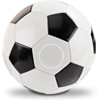 Area marcaje Pelota - Panel 2