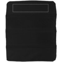 Area marcaje Segmento posterior