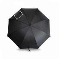 Area marcaje Paraguas - Gajo 2