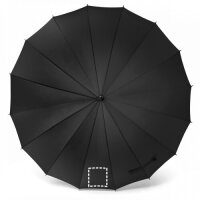 Area marcaje Paraguas - Gajo