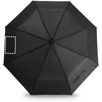 Area marcaje Paraguas - Gajo 2