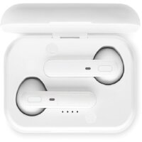 Area marcaje Auricular izquierdo