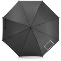 Area marcaje Paraguas - Gajo 4