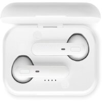 Area marcaje Auricular derecho