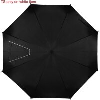 Area marcaje Segmento 2