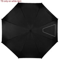 Area marcaje Segmento4