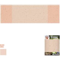 Area marcaje Sleeve - Cuerpo