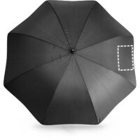 Area marcaje Paraguas - Gajo 4