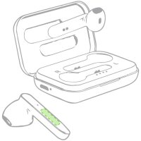 Area marcaje Auricular Lateral Centrado