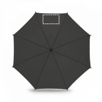 Area marcaje Paraguas - Gajo 1