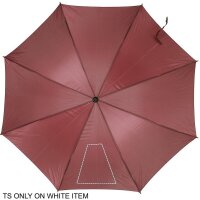 Area marcaje Segmento1