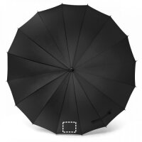 Area marcaje Paraguas - Gajo