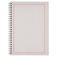 Area marcaje Frontal