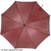 Area marcaje Segmento4