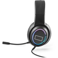 Area marcaje Auriculares - Cuerpo lateral