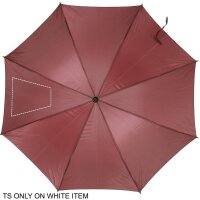 Area marcaje Segmento 2