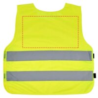 Area marcaje Detrás