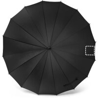 Area marcaje Paraguas - Gajo 4