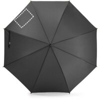 Area marcaje Paraguas - Gajo 2