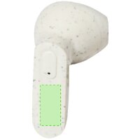 Area marcaje En el auricular derecho