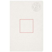 Area marcaje Frontal